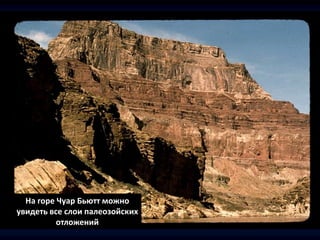 На горе Чуар Бьютт можно
увидеть все слои палеозойских
отложений
 