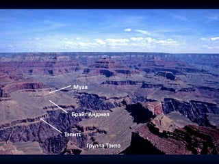 Муав
Брайт Анджел
Тэпитс
Группа Тонто
 