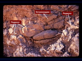 Редволл
Редволл
Уотахомиджи
 