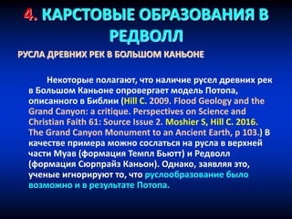 4. КАРСТОВЫЕ ОБРАЗОВАНИЯ В
РЕДВОЛЛ
РУСЛА ДРЕВНИХ РЕК В БОЛЬШОМ КАНЬОНЕ
Некоторые полагают, что наличие русел древних рек
в Большом Каньоне опровергает модель Потопа,
описанного в Библии (Hill C. 2009. Flood Geology and the
Grand Canyon: a critique. Perspectives on Science and
Christian Faith 61: Source Issue 2. Moshier S, Hill C. 2016.
The Grand Canyon Monument to an Ancient Earth, p 103.) В
качестве примера можно сослаться на русла в верхней
части Муав (формация Темпл Бьютт) и Редволл
(формация Сюрпрайз Каньон). Однако, заявляя это,
ученые игнорируют то, что руслообразование было
возможно и в результате Потопа.
 