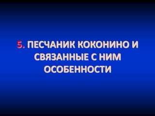 5. ПЕСЧАНИК КОКОНИНО И
СВЯЗАННЫЕ С НИМ
ОСОБЕННОСТИ
 