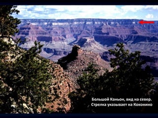 Большой Каньон, вид на север.
Стрелка указывает на Коконино
 