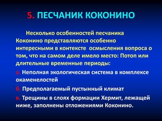 5. ПЕСЧАНИК КОКОНИНО
Несколько особенностей песчаника
Коконино представляются особенно
интересными в контексте осмысления вопроса о
том, что на самом деле имело место: Потоп или
длительные временные периоды:
a. Неполная экологическая система в комплексе
окаменелостей
б. Предполагаемый пустынный климат
в. Трещины в слоях формации Хермит, лежащей
ниже, заполнены отложениями Коконино.
 