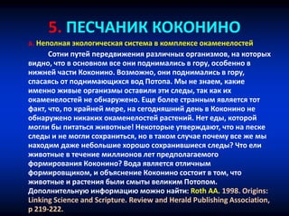 5. ПЕСЧАНИК КОКОНИНО
a. Неполная экологическая система в комплексе окаменелостей
Сотни путей передвижения различных организмов, на которых
видно, что в основном все они поднимались в гору, особенно в
нижней части Коконино. Возможно, они поднимались в гору,
спасаясь от поднимающихся вод Потопа. Мы не знаем, какие
именно живые организмы оставили эти следы, так как их
окаменелостей не обнаружено. Еще более странным является тот
факт, что, по крайней мере, на сегодняшний день в Коконино не
обнаружено никаких окаменелостей растений. Нет еды, которой
могли бы питаться животные! Некоторые утверждают, что на песке
следы и не могли сохраниться, но в таком случае почему все же мы
находим даже небольшие хорошо сохранившиеся следы? Что ели
животные в течение миллионов лет предполагаемого
формирования Коконино? Вода является отличным
формировщиком, и объяснение Коконино состоит в том, что
животные и растения были смыты великим Потопом.
Дополнительную информацию можно найти: Roth AA. 1998. Origins:
Linking Science and Scripture. Review and Herald Publishing Association,
p 219-222.
 