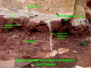 Разрыв в 6 млн
лет
Коконино
Обесцвеченный
Хермит
Хермит
ВИД ТРЕЩИНЫ В ХЕРМИТ С БЛИЗКОГО
РАССТОЯНИЯ
Отложения
Коконино в
трещине
 