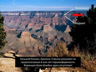 Большой Каньон, Аризона. Стрелка указывает на
предполагаемые 6 млн лет параконформности.
Формация Холм Шнебли здесь отсутствует
Кононино
Hermit
Хермит
 