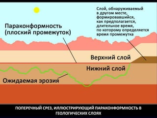 ПОПЕРЕЧНЫЙ СРЕЗ, ИЛЛЮСТРИРУЮЩИЙ ПАРАКОНФОРМНОСТЬ В
ГЕОЛОГИЧЕСКИХ СЛОЯХ
 