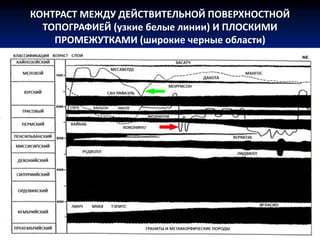 КОНТРАСТ МЕЖДУ ДЕЙСТВИТЕЛЬНОЙ ПОВЕРХНОСТНОЙ
ТОПОГРАФИЕЙ (узкие белые линии) И ПЛОСКИМИ
ПРОМЕЖУТКАМИ (широкие черные области)
 