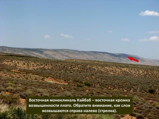 Восточная моноклиналь Кайбаб – восточная кромка
возвышенности плато. Обратите внимание, как слои
возвышаются справа налево (стрелка).
 