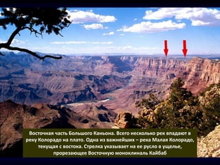 Восточная часть Большого Каньона. Всего несколько рек впадают в
реку Колорадо на плато. Одна из важнейших – река Малая Колорадо,
текущая с востока. Стрелка указывает на ее русло в ущелье,
прорезающее Восточную моноклиналь Кайбаб
 