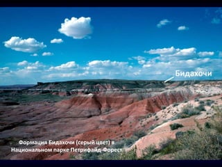Формация Бидахочи (серый цвет) в
Национальном парке Петрифайд-Форест
 