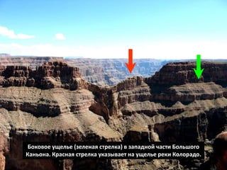 Боковое ущелье (зеленая стрелка) в западной части Большого
Каньона. Красная стрелка указывает на ущелье реки Колорадо.
 
