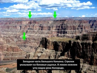 Западная часть Большого Каньона. Стрелки
указывают на боковые ущелья. В левом нижнем
углу видна река Колорадо.
 