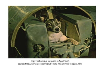 Fig: First animal in space in Sputnik 2
Source: http://www.space.com/17764-laika-first-animals-in-space.html
 