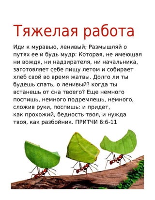 Russian Motivational Diligence Tract.pdf