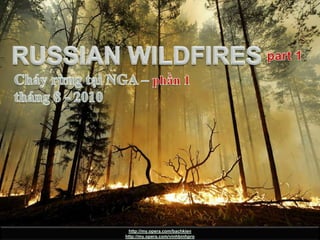 RUSSIAN WILDFIRES part 1 (CháyrừngtạiNga – phần 1) RUSSIAN WILDFIRES part 1 Cháyrừngtại NGA – phần 1 tháng 8 - 2010 http://my.opera.com/bachkien http://my.opera.com/vinhbinhpro 