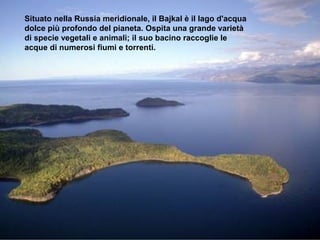 Situato nella Russia meridionale, il Bajkal è il lago d'acqua
dolce più profondo del pianeta. Ospita una grande varietà
di specie vegetali e animali; il suo bacino raccoglie le
acque di numerosi fiumi e torrenti.
 