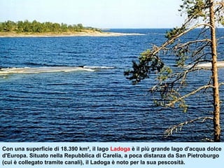 Con una superficie di 18.390 km², il lago Ladoga è il più grande lago d'acqua dolce
d'Europa. Situato nella Repubblica di Carelia, a poca distanza da San Pietroburgo
(cui è collegato tramite canali), il Ladoga è noto per la sua pescosità.
 
