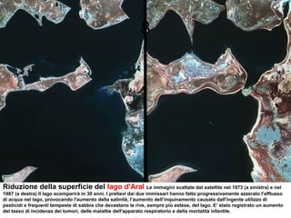 Riduzione della superficie del lago d'Aral Le immagini scattate dal satellite nel 1973 (a sinistra) e nel
1987 (a destra) Il lago scomparirà in 30 anni. I prelievi dai due immissari hanno fatto progressivamente azzerato l'afflusso
di acqua nel lago, provocando l'aumento della salinità, l‘aumento dell’inquinamento causato dall'ingente utilizzo di
pesticidi e frequenti tempeste di sabbia che devastano le rive, sempre più estese, del lago. E’ stato registrato un aumento
del tasso di incidenza dei tumori, delle malattie dell'apparato respiratorio e della mortalità infantile.
8
 