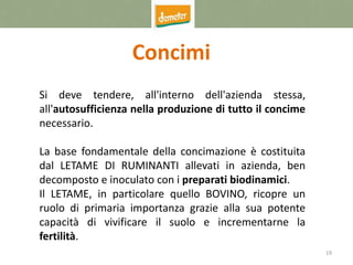 19
Concimi
Si deve tendere, all'interno dell'azienda stessa,
all'autosufficienza nella produzione di tutto il concime
necessario.
La base fondamentale della concimazione è costituita
dal LETAME DI RUMINANTI allevati in azienda, ben
decomposto e inoculato con i preparati biodinamici.
Il LETAME, in particolare quello BOVINO, ricopre un
ruolo di primaria importanza grazie alla sua potente
capacità di vivificare il suolo e incrementarne la
fertilità.
 