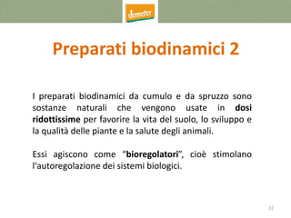 22
Preparati biodinamici 2
I preparati biodinamici da cumulo e da spruzzo sono
sostanze naturali che vengono usate in dosi
ridottissime per favorire la vita del suolo, lo sviluppo e
la qualità delle piante e la salute degli animali.
Essi agiscono come “bioregolatori”, cioè stimolano
l'autoregolazione dei sistemi biologici.
 