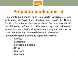 23
Preparati biodinamici 3
I preparati biodinamici sono una parte integrante e non
sostituibile dell'agricoltura biodinamica, perciò le Norme
Direttive Demeter ne impongono l'uso. Essi vengono allestiti
possibilmente all'interno dell'azienda agricola utilizzando
letame vaccino o farina di quarzo per i preparati da spruzzo,
particolari erbe per l’inoculo del cumulo di compost.
I preparati vegetali da cumulo in particolare sono:
 Achillea
 Camomilla
 Corteccia di quercia
 Ortica
 Tarassaco
 Valeriana
 
