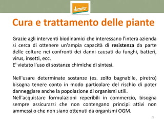 25
Cura e trattamento delle piante
Grazie agli interventi biodinamici che interessano l'intera azienda
si cerca di ottenere un'ampia capacità di resistenza da parte
delle colture nei confronti dei danni causati da funghi, batteri,
virus, insetti, ecc.
E' vietato l'uso di sostanze chimiche di sintesi.
Nell'usare determinate sostanze (es. zolfo bagnabile, piretro)
bisogna tenere conto in modo particolare del rischio di poter
danneggiare anche la popolazione di organismi utili.
Nell'acquistare formulazioni reperibili in commercio, bisogna
sempre assicurarsi che non contengano principi attivi non
ammessi o che non siano ottenuti da organismi OGM.
 