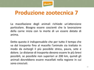32
Produzione zootecnica 7
La macellazione degli animali richiede un'attenzione
particolare. Bisogna essere coscienti che la lavorazione
della carne inizia con la morte di un essere dotato di
anima.
Detto questo è indispensabile che per tutto il tempo che
va dal trasporto fino al macello l'animale sia trattato in
modo da evitargli il più possibile stress, paura, sete e
dolore. Le distanze di trasporto devono essere le più brevi
possibili, se possibile non superiori ai 200 km, quindi gli
animali dovrebbero essere macellati nella regione in cui
sono cresciuti.
 