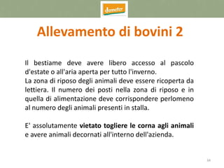 34
Allevamento di bovini 2
Il bestiame deve avere libero accesso al pascolo
d'estate o all'aria aperta per tutto l'inverno.
La zona di riposo degli animali deve essere ricoperta da
lettiera. Il numero dei posti nella zona di riposo e in
quella di alimentazione deve corrispondere perlomeno
al numero degli animali presenti in stalla.
E' assolutamente vietato togliere le corna agli animali
e avere animali decornati all'interno dell'azienda.
 
