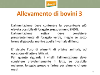 35
Allevamento di bovini 3
L'alimentazione deve contenere la percentuale più
elevata possibile di foraggio grezzo almeno il 60%.
L'alimentazione estiva deve consistere
prevalentemente di foraggio verde, meglio se sotto
forma di pascolo, mentre quella invernale di fieno.
E' vietato l'uso di alimenti di origine animale, ad
eccezione di latte e latticini.
Per quanto riguarda i vitelli l'alimentazione deve
consistere prevalentemente in latte, se possibile
materno, foraggio grezzo e farine per almeno cinque
mesi.
 