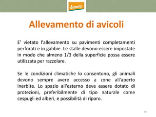 36
Allevamento di avicoli
E' vietato l'allevamento su pavimenti completamenti
perforati e in gabbie. Le stalle devono essere impostate
in modo che almeno 1/3 della superficie possa essere
utilizzata per razzolare.
Se le condizioni climatiche lo consentono, gli animali
devono sempre avere accesso a zone all'aperto
inerbite. Lo spazio all'esterno deve essere dotato di
protezioni, preferibilmente di tipo naturale come
cespugli ed alberi, e possibilità di riparo.
 