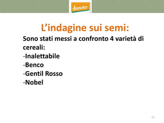 73
L’indagine sui semi:
Sono stati messi a confronto 4 varietà di
cereali:
-Inalettabile
-Benco
-Gentil Rosso
-Nobel
 