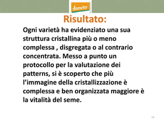 74
Risultato:
Ogni varietà ha evidenziato una sua
struttura cristallina più o meno
complessa , disgregata o al contrario
concentrata. Messo a punto un
protocollo per la valutazione dei
patterns, si è scoperto che più
l’immagine della cristallizzazione è
complessa e ben organizzata maggiore è
la vitalità del seme.
 