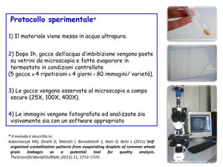 Protocollo sperimentale*
1) Il materiale viene messo in acqua ultrapura.
2) Dopo 1h, gocce dell’acqua d’imbibizione vengono poste
su vetrini da microscopia e fatte evaporare in
termostato in condizioni controllate
(5 gocce x 4 ripetizioni x 4 giorni = 80 immagini/ varietà).
3) Le gocce vengono osservate al microscopio a campo
oscuro (25X, 100X, 400X).
4) Le immagini vengono fotografate ed analizzate sia
visivamente sia con un software appropriato
* Il metodo è descritto in:
Kokornaczyk MO, Dinelli G, Marotti I, Benedettelli S, Nani D, Betti L (2011) Self-
organized crystallization patterns from evaporating droplets of common wheat
grain leakages as a potential tool for quality analysis.
TheScientificWorldJOURNAL (2011) 11, 1712–1725.
 