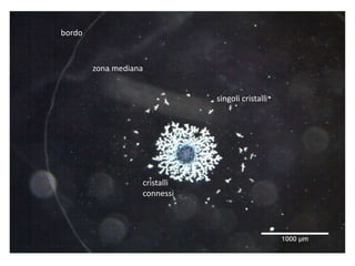 bordo
zona mediana
singoli cristalli
cristalli
connessi
 