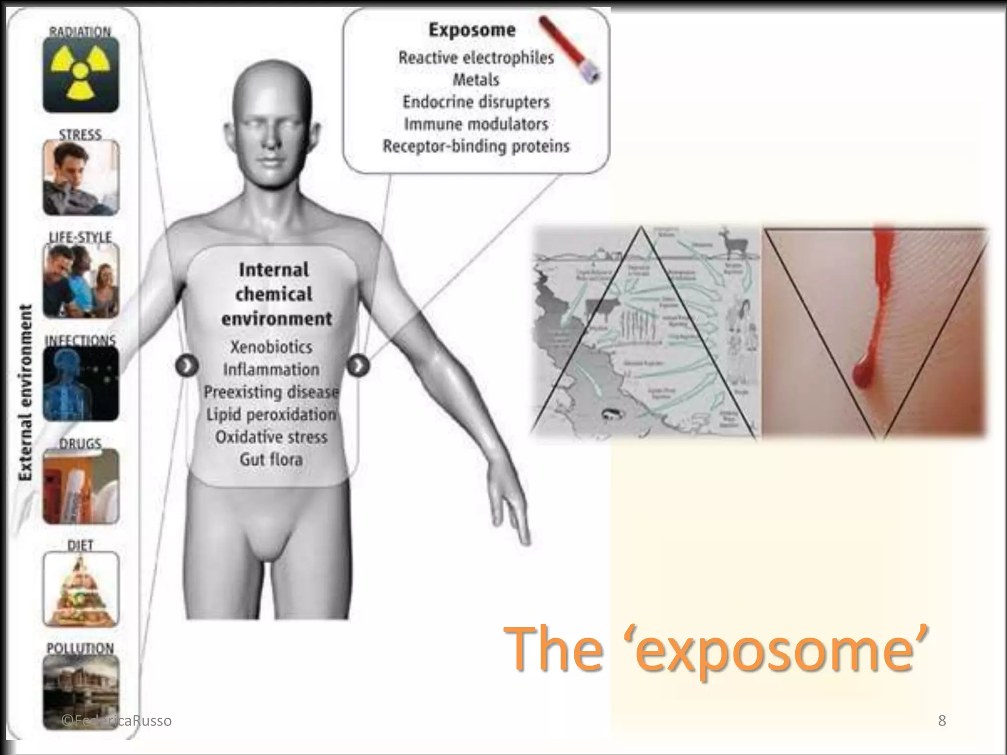 The ‘exposome’
8©FedericaRusso
 