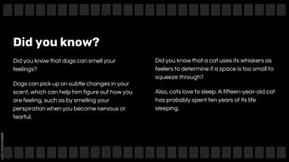 Did you know?
Did you know that a cat uses its whiskers as
feelers to determine if a space is too small to
squeeze through?
Also, cats love to sleep. A fifteen-year-old cat
has probably spent ten years of its life
sleeping.
Did you know that dogs can smell your
feelings?
Dogs can pick up on subtle changes in your
scent, which can help him figure out how you
are feeling, such as by smelling your
perspiration when you become nervous or
fearful.
 
