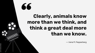 Clearly, animals know
more than we think, and
think a great deal more
than we know.
― Irene M. Pepperberg
 