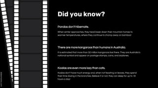 Did you know?
Pandas don’t hibernate.
It is estimated that more than 50 million kangaroos live there. They are Australia’s
national symbol and appear on postage stamps, coins, and airplanes.
There are more kangaroos than humans in Australia.
Koalas don’t have much energy and, when not feasting on leaves, they spend
their time dozing in the branches. Believe it or not, they can sleep for up to 18
hours a day!
Koalas are even more lazy than cats.
When winter approaches, they head lower down their mountain homes to
warmer temperatures, where they continue to chomp away on bamboo!
 
