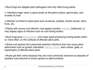 Rust fungi are obligate plant pathogens that only infect living plants.
 Infections begin when a spore lands on the plant surface, germinates, and
invades its host.
Infection is limited to plant parts such as leaves, petioles, tender shoots, stem,
fruits, etc.
Plants with severe rust infection may appear stunted, chlorotic (yellowed), or
may display signs of infection such as rust fruiting bodies.
Rust fungi grow intracellularly, and make spore-producing fruiting bodies within
or, more often, on the surfaces of affected plant parts.
Some rust species form perennial systemic infections that may cause plant
deformities such as growth retardation, witch's broom, stem canker, galls, or
hypertrophy of affected plant parts.
Rusts get their name because they are most commonly observed as deposits of
powdery rust-coloured or brown spores on plant surfaces.
FAIDURAHMAN KALATHINGAL
 