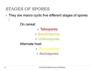 STAGES OF SPORES
 They are macro cyclic five different stages of spores
:
On cereal:
 Teliospores
 Basidiospores
 Uridinospores
Alternate host:
 Pycniospores
 Aeciospores
FAIDURAHMAN KALATHINGAL
 