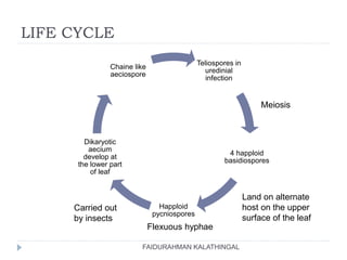 LIFE CYCLE
FAIDURAHMAN KALATHINGAL
Teliospores in
uredinial
infection
4 happloid
basidiospores
Happloid
pycniospores
Dikaryotic
aecium
develop at
the lower part
of leaf
Chaine like
aeciospore
Meiosis
Land on alternate
host on the upper
surface of the leaf
Flexuous hyphae
Carried out
by insects
 