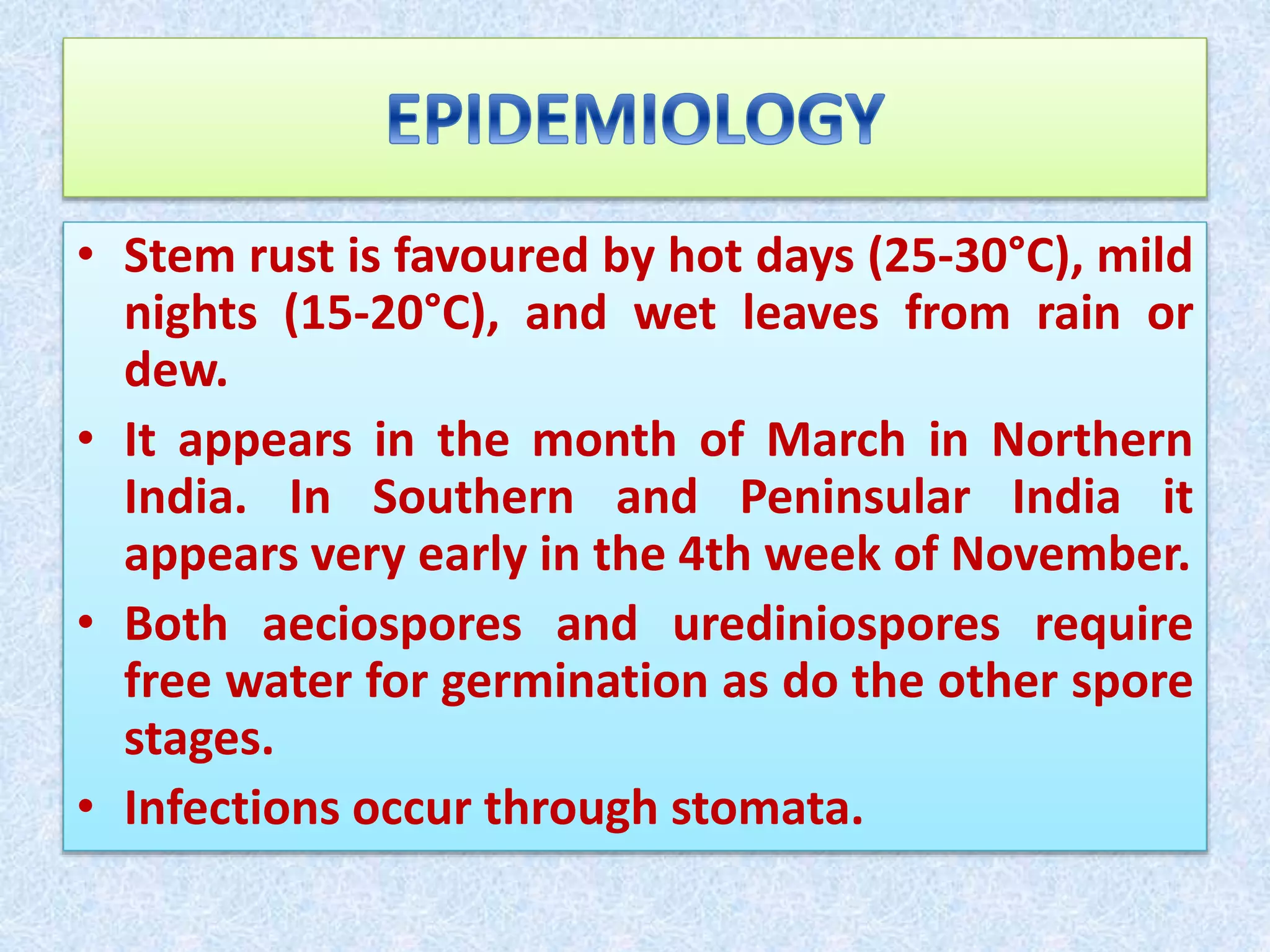 Rust diseases of wheat | PPTX