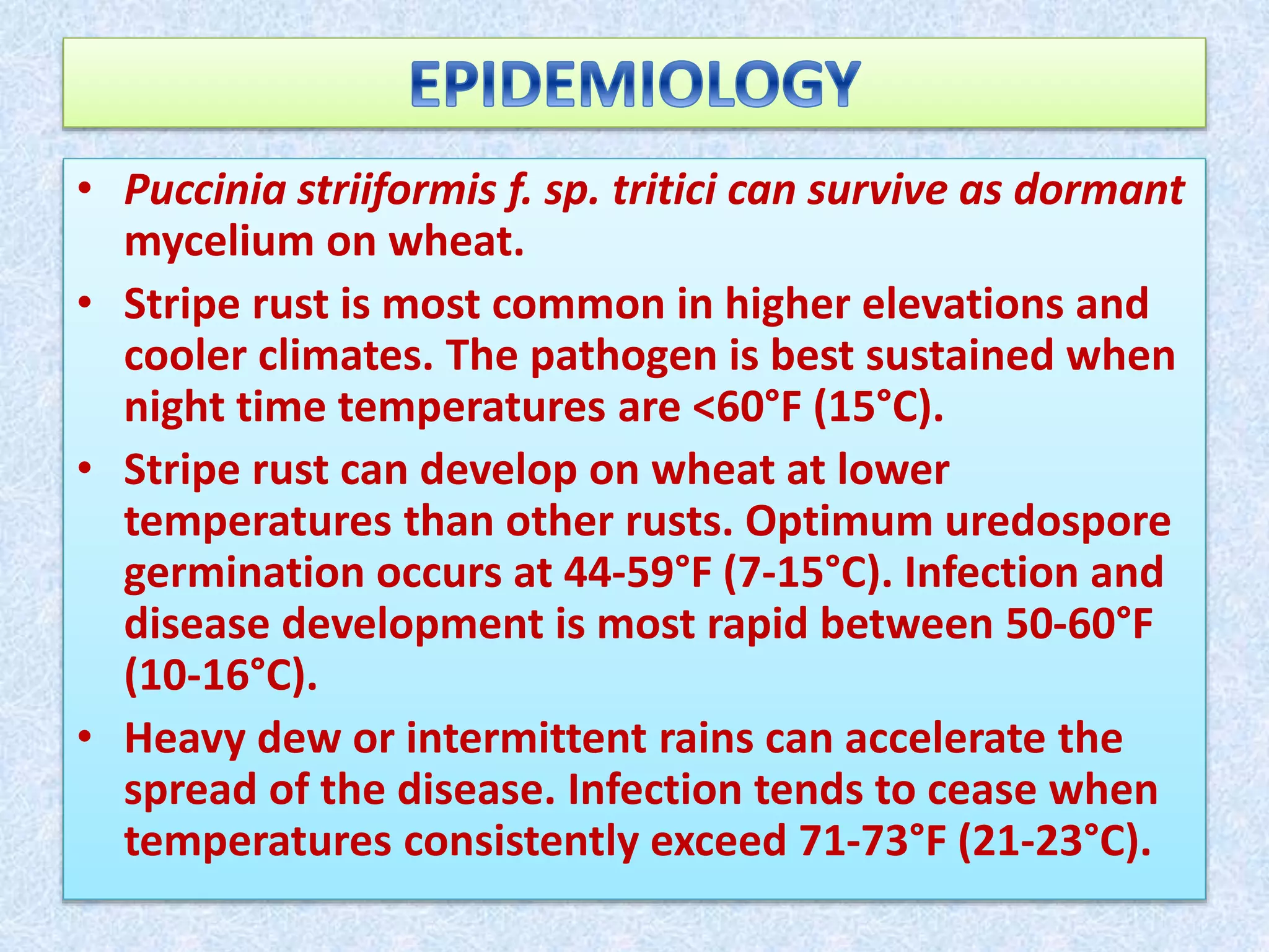 Rust diseases of wheat | PPTX