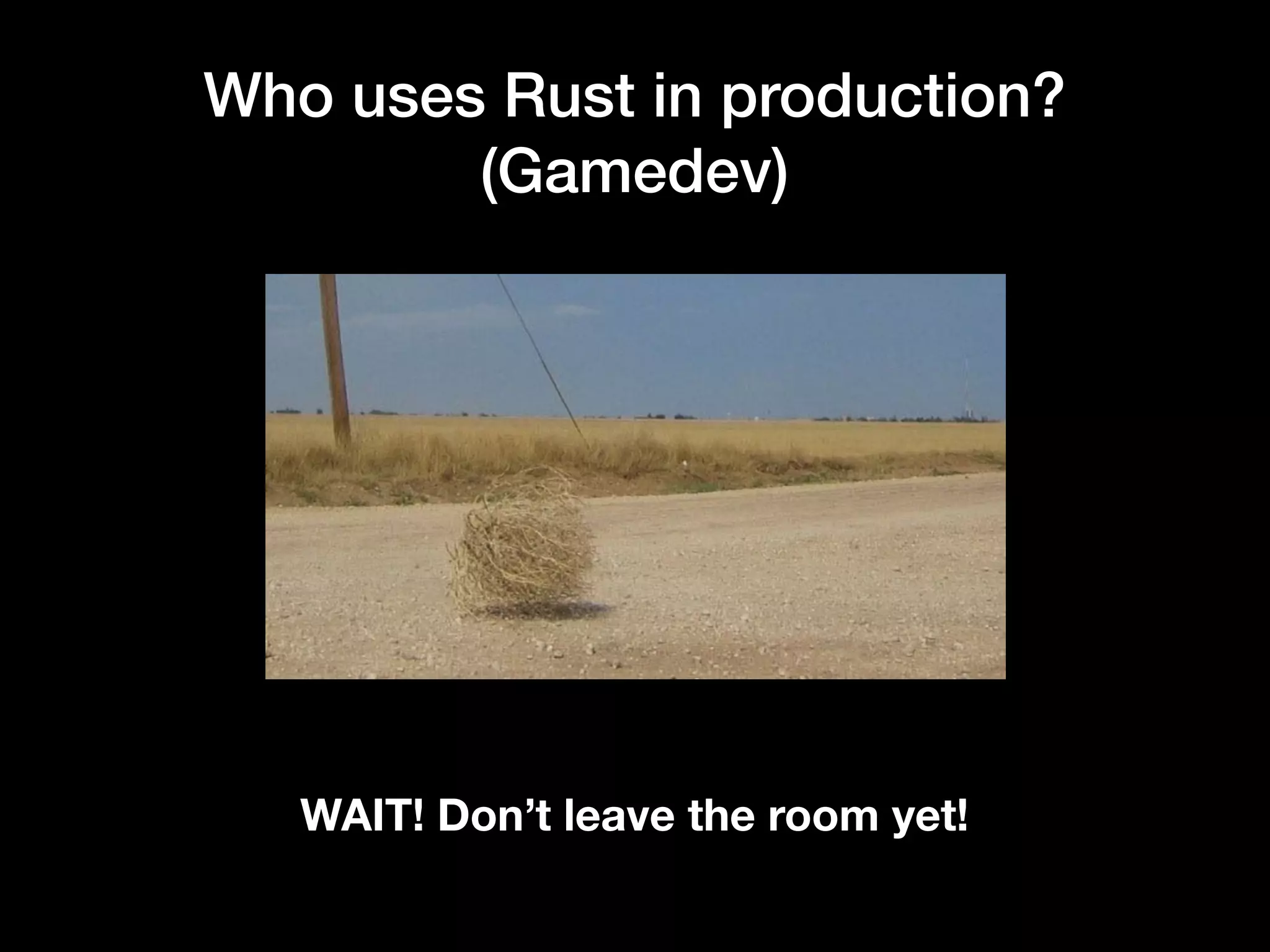 Who uses Rust in production?
(Gamedev)
WAIT! Don’t leave the room yet!
 