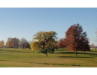 Rustic Ridge Foot Golf Rustic Ridge Golf Course at 8 minutes drive to the south of Eldridge ...