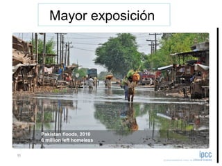 Mayor exposición
 