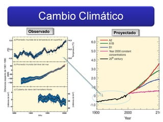 ObservadoObservado ProyectadoProyectado
 