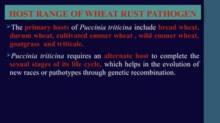 RUST OF WHEAT/ A FUNGAL DISEASE/ LIFE CYCLE/ SYMPTOMS/ MANAGEMENT | PPT