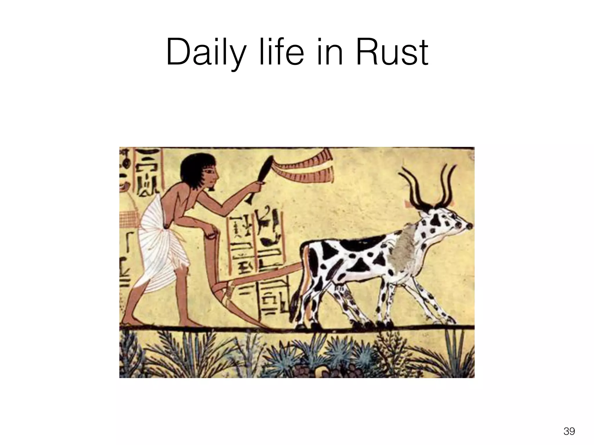 Daily life in Rust
39
 